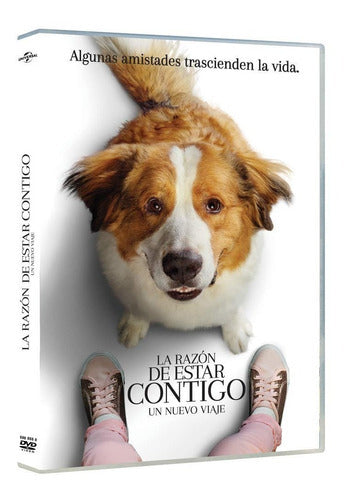 La Razon De Estar Contigo Un Nuevo Viaje Pelicula Dvd